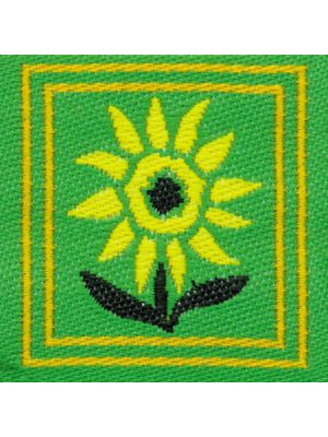 Distintivi EG Specialità