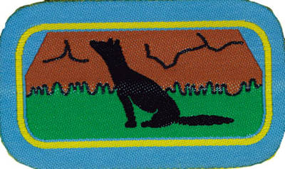 Distintivi LC Progressione