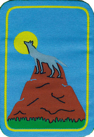 Distintivi LC Progressione