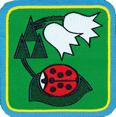 Distintivi LC Progressione