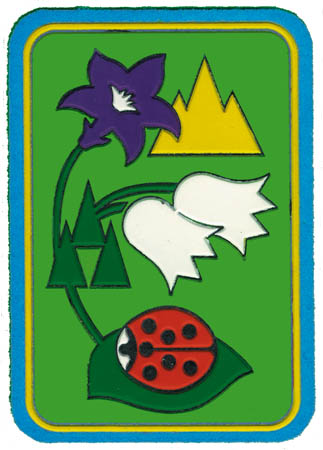 Distintivi LC Progressione