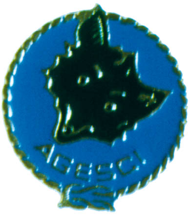 Promessa Lupetto metallo smaltato