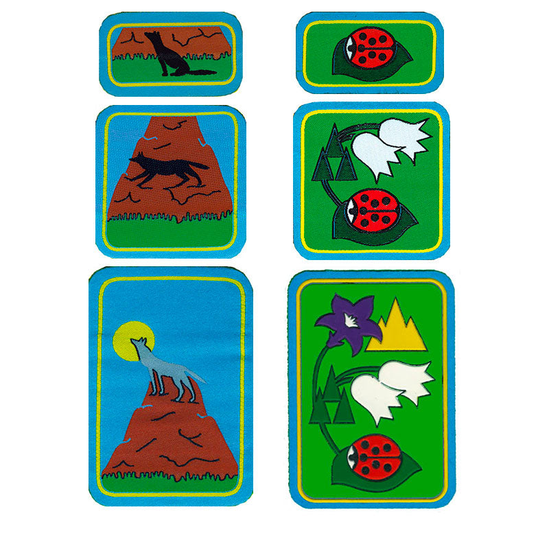 Distintivi LC Progressione